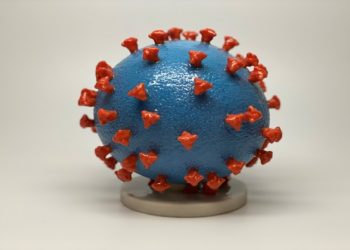 An undated photo shows a 3-D print of a SARS-CoV-2 particle, also known as novel coronavirus, the virus that causes COVID-19. The virus surface (blue) is covered with spike proteins (red) that enable the virus to enter and infect human cells. The spikes on the surface of coronaviruses give this virus family its name ? corona, which is Latin for ?crown,? and most any coronavirus will have a crown-like appearance.    NIH/Handout via REUTERS.  THIS IMAGE HAS BEEN SUPPLIED BY A THIRD PARTY. MANDATORY CREDIT