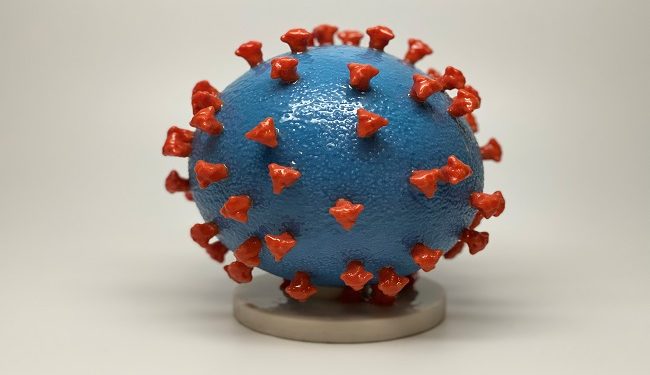 An undated photo shows a 3-D print of a SARS-CoV-2 particle, also known as novel coronavirus, the virus that causes COVID-19. The virus surface (blue) is covered with spike proteins (red) that enable the virus to enter and infect human cells. The spikes on the surface of coronaviruses give this virus family its name ? corona, which is Latin for ?crown,? and most any coronavirus will have a crown-like appearance.    NIH/Handout via REUTERS.  THIS IMAGE HAS BEEN SUPPLIED BY A THIRD PARTY. MANDATORY CREDIT